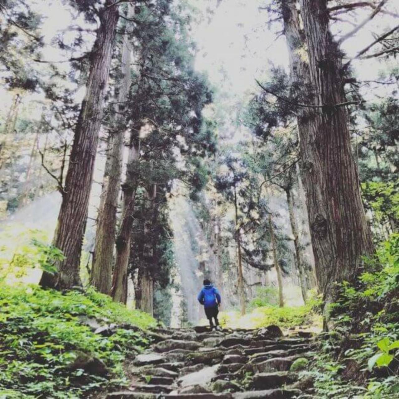 נוזאווה אונסן Lodge Nagano מראה חיצוני תמונה